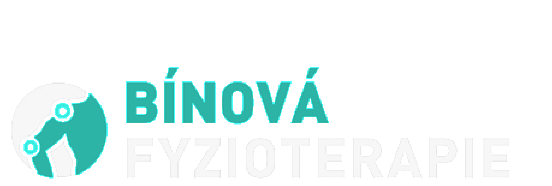 Bínová Fyzioterapie – logo